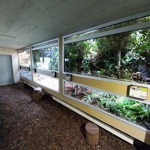 Reptilienhaus - Terrariums for smaller reptiles