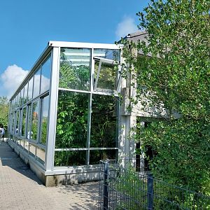 Dschungel und Reptilienhaus