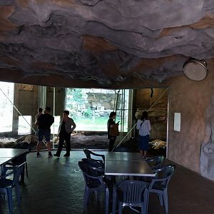Tiger Höhle visitor's space