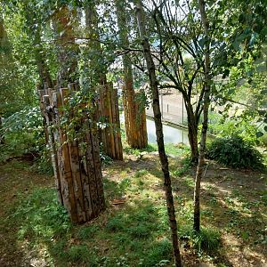 Siberian tiger enclosure