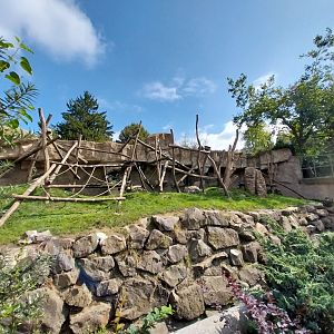 Chimpansee enclosure 1