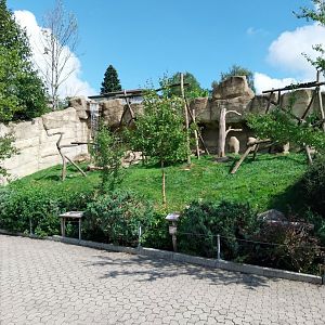 Chimpansee enclosure 2