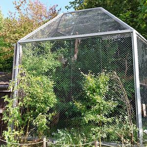 Hyacinth macaw aviary