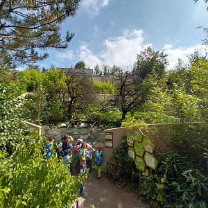 Asian small-clawed otter and Nepalese red panda enclosure