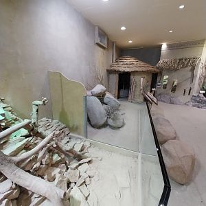 Savannenhaus - Fennec fox enclosure