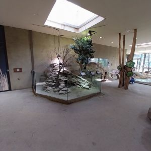 Savannenhaus - Mixed species enclosure