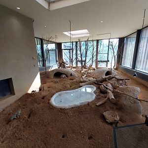 Savannenhaus - Meerkat enclosure