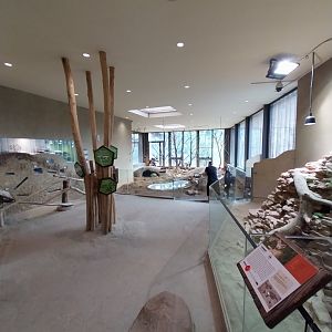 Savannenhaus general view