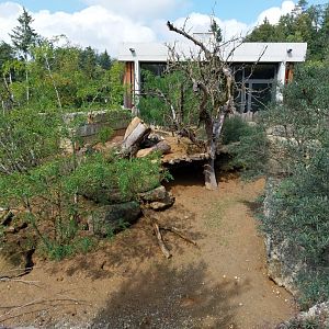 Savannenhaus - Meerkat enclosure