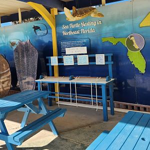 Marineland Dolphin Adventure - Sea Turtle nesting info
