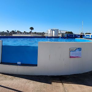 Marineland Dolphin Adventure - Dolphin exhibit