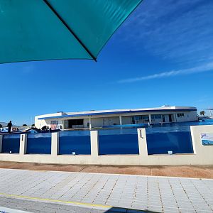 Marineland Dolphin Adventure - Dolphin exhibit large view