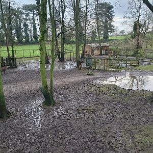 South American Paddock