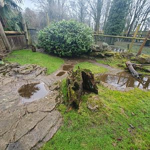 Red Footed Tortoise enclosure