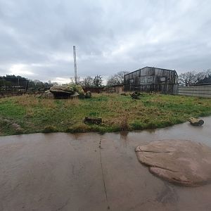Northern Cheetah enclosure
