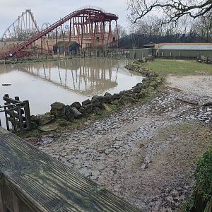 Common Hippopotamus enclosure