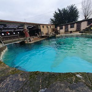 California Sea Lion enclosure