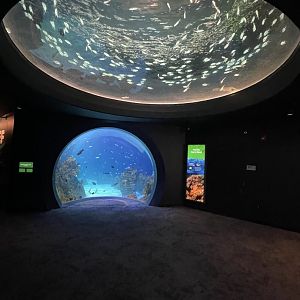 Warm Open Ocean Room