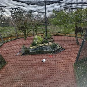 Crane and Ibis aviary