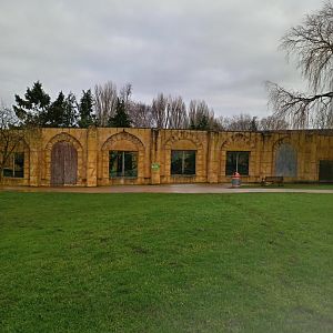 Sumatran Tiger enclosure from a far