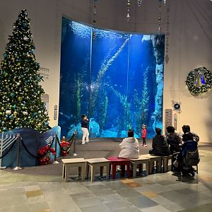 Christmas at the Blue Cavern