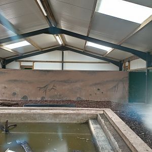 Capybara and Lowland Tapir indoor enclosure