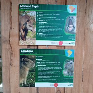 Capybara and Lowland Tapir signage