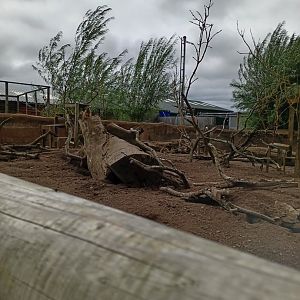 Meerkat and Cape Porcupine enclosure