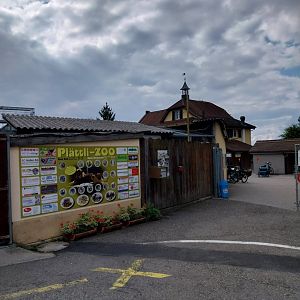 Plätli zoo Frauenfeld - Entrance area
