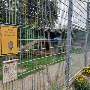 Plätli zoo Frauenfeld - Lion enclosure