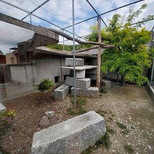 Plätli zoo Frauenfeld - Mountain lion enclosure