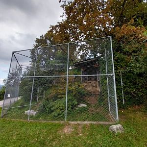 Plätli zoo Frauenfeld - Central European barn owl aviary
