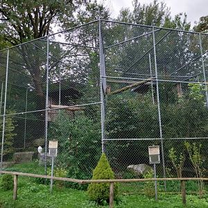 Plätli zoo Frauenfeld - Snowy owl and European eagle-owl aviaries