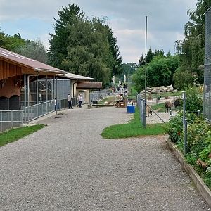 Plätli zoo Frauenfeld - General view