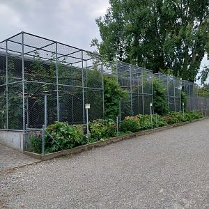 Plätli zoo Frauenfeld - Macaw aviaries
