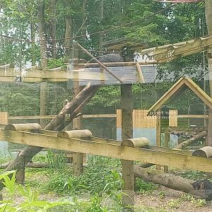 Binturong enclosure