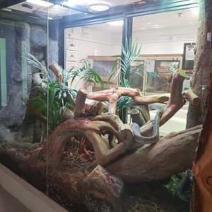 Macklot's Python Enclosure