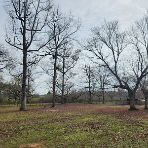 Noah's Ark - Horse & pig yard