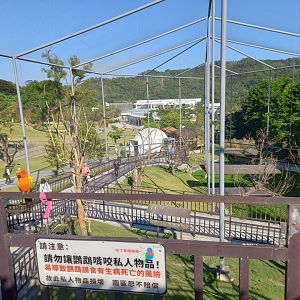 Parrot aviary, Jojozoo Bird Park