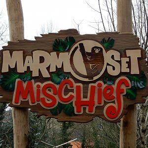 Pygmy Marmoset exhibit Signage