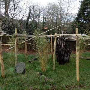 Pygmy Marmoset exhibit