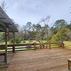 Chehaw Zoo - Alligator viewing deck