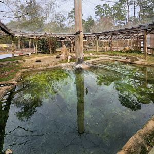Chehaw Zoo - Inside aviary
