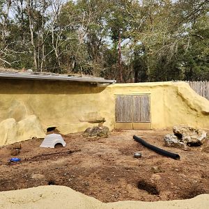 Chehaw Zoo - Black-tailed Prairie Dog exhibit