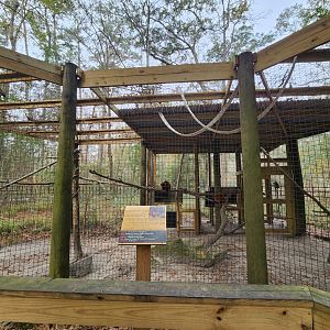 Chehaw Zoo - Red Ruffed Lemur enclosure