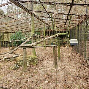 Chehaw Zoo - Northern Coati enclosure