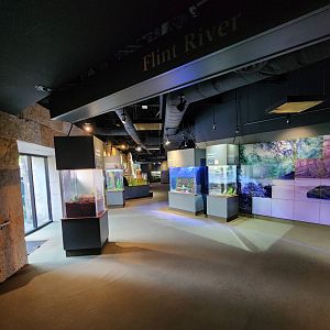 Flint RiverQuarium - Flint River exhibit area