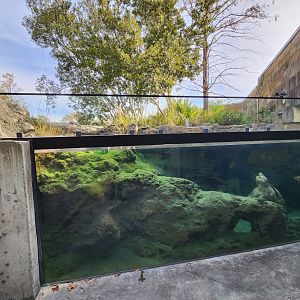 Flint RiverQuarium - Outdoor turtle exhibit