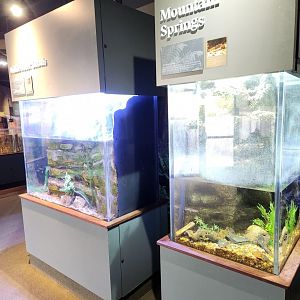 Flint RiverQuarium - Mountain spring tanks
