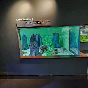 Flint RiverQuarium - Lake Seminole tank